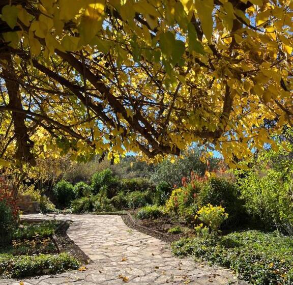 Hotel Auberge Des Cascades Imouzzer   Paradise Valley