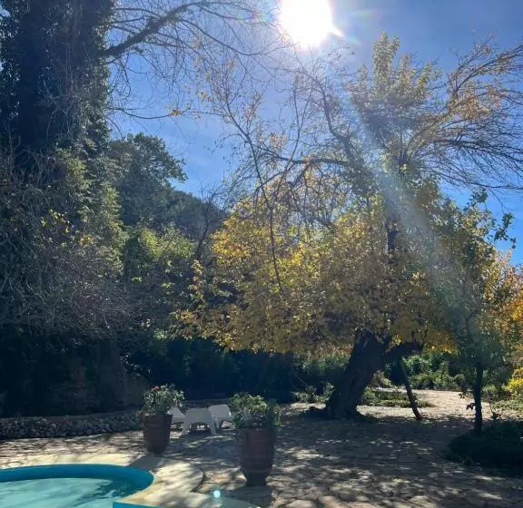 Hotelli Auberge Des Cascades Imouzzer   Paradise Valley