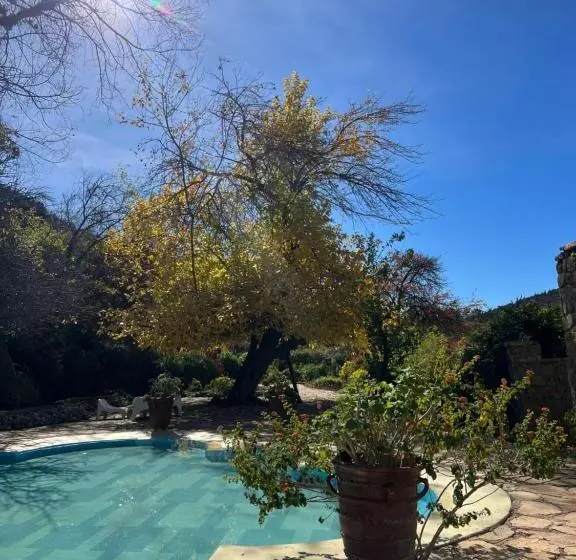 Hotelli Auberge Des Cascades Imouzzer   Paradise Valley