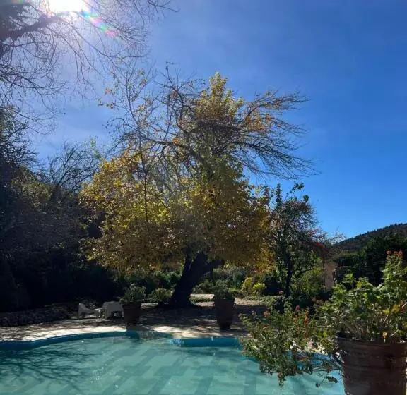 Hotelli Auberge Des Cascades Imouzzer   Paradise Valley