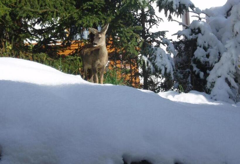 酒店 Garni La Majon