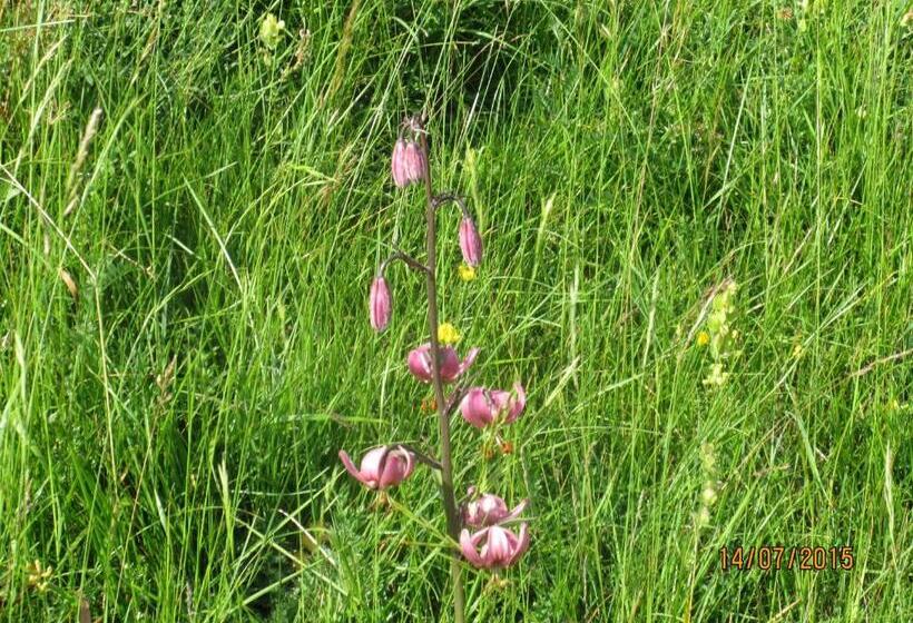 酒店 Garni La Majon