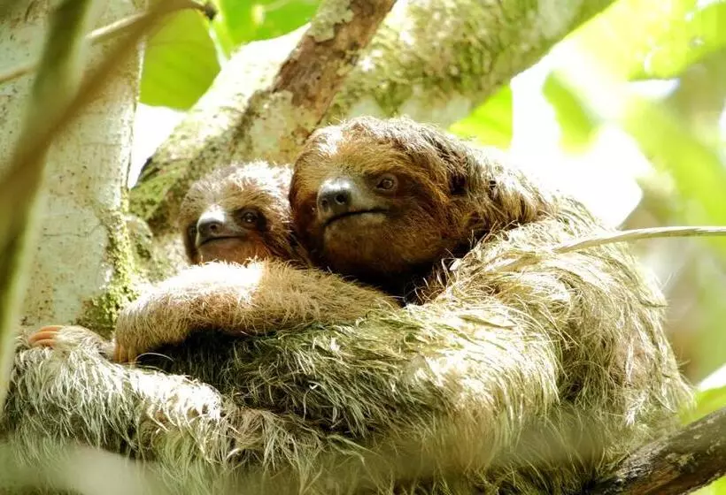 Hotelli Hacienda La Isla Lodge