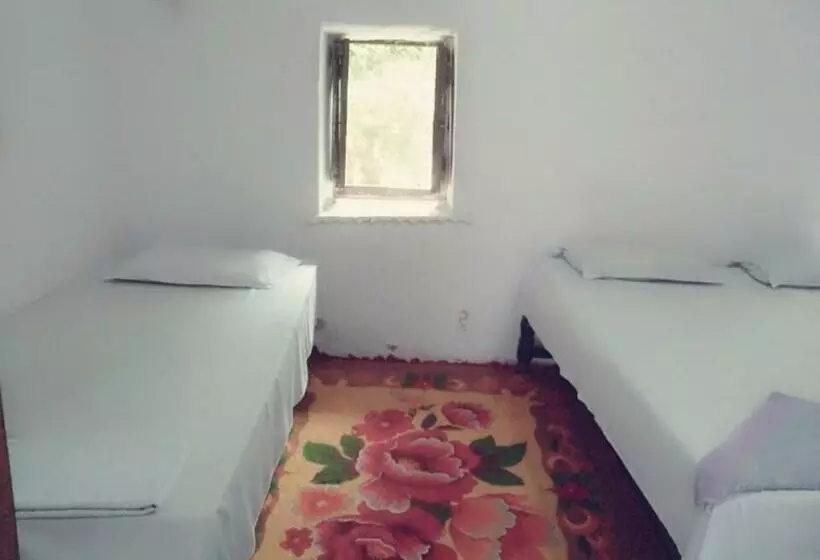 ホテル Haveli Uma Megh Tourist Guest House