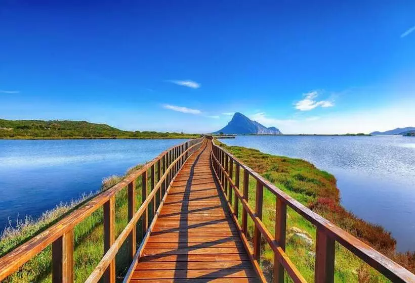 Welcomely   Il Bouquet