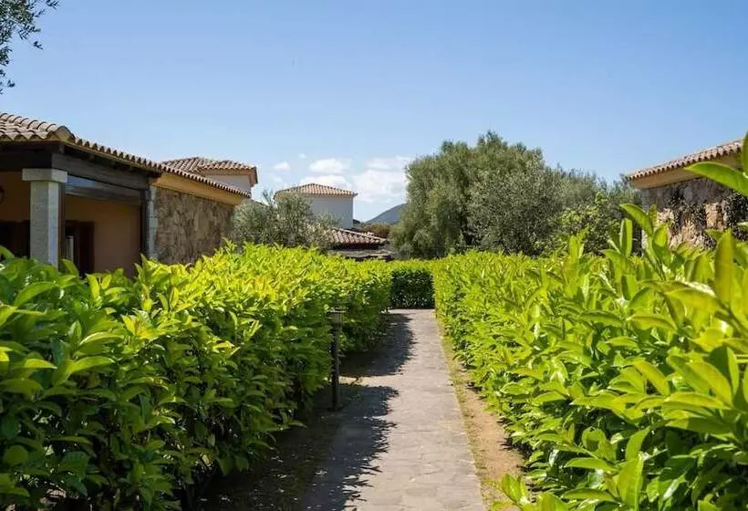 Welcomely   Il Bouquet