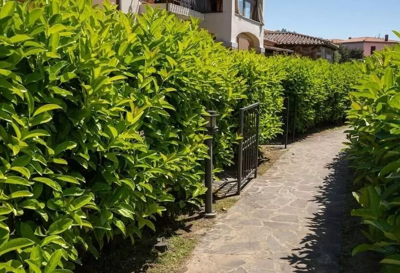 Welcomely   Il Bouquet