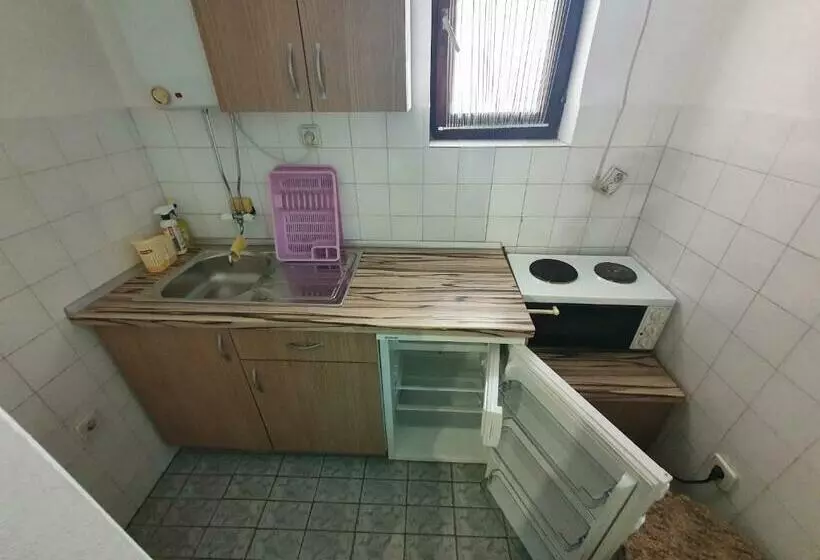 Petnaestica
