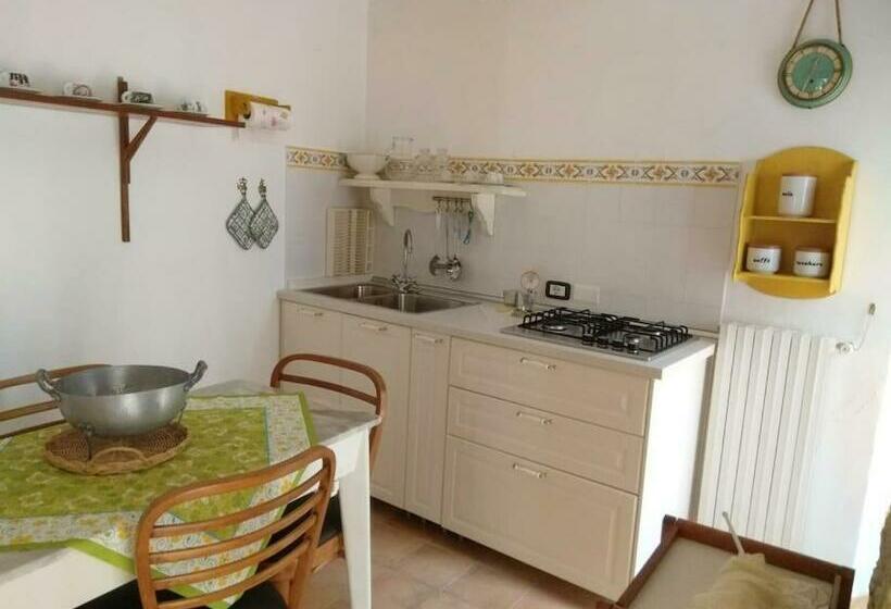 Case Vacanze Nel Parco Nazionale Del Cilento