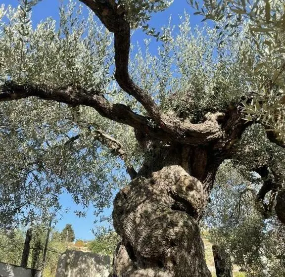 Collina Di Girgenti