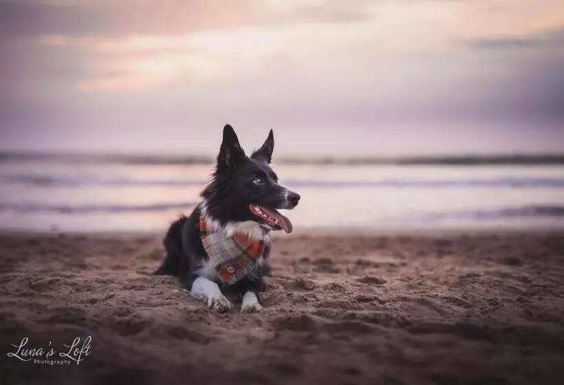 16 Woolacombe   Luxury Apartment At Byron Woolacombe, Only 4 Minute Walk To Woolacombe Beach!