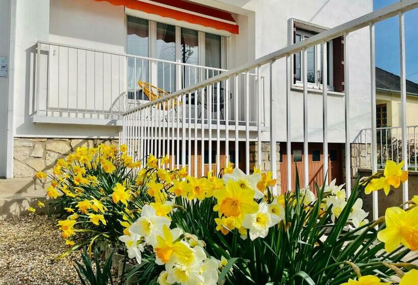 Le Bel Herminier Calme, Accès Jardin, Proche Centre Ville