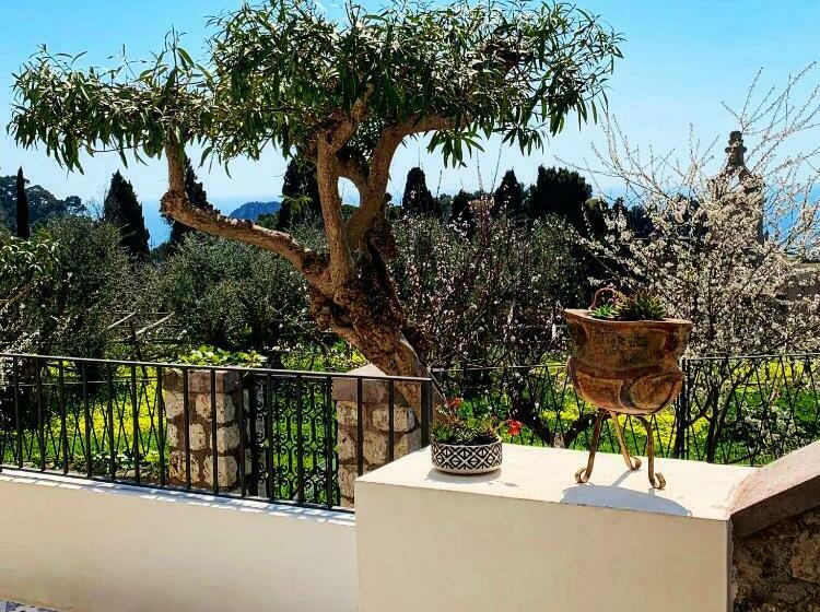 Le Donne Di Capri   Charming Apartments In Capri