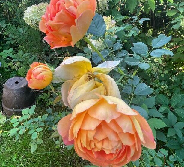 Matilda S Lovely 2 Bedroom House