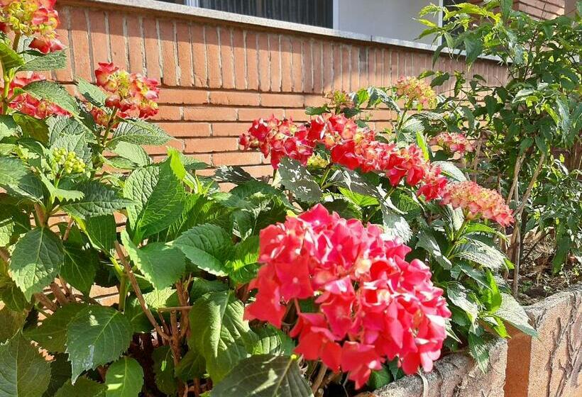 Milano Linate Airport Apartment