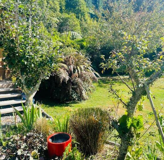 The Kauri Tree Pod Off Grid Experience