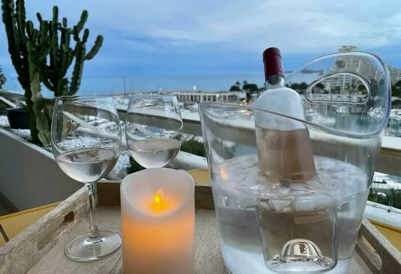 Appartement Bord De Mer Villeneuve Loubet