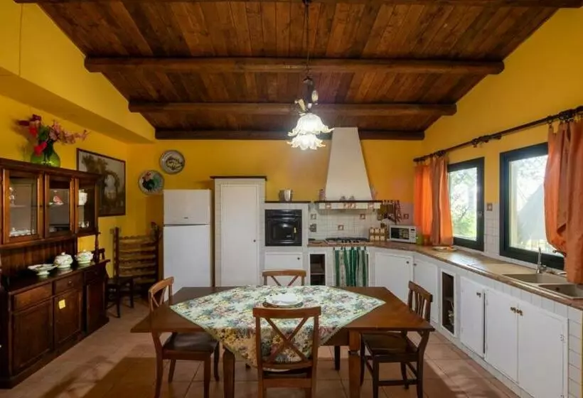 Case Vacanze Liolà