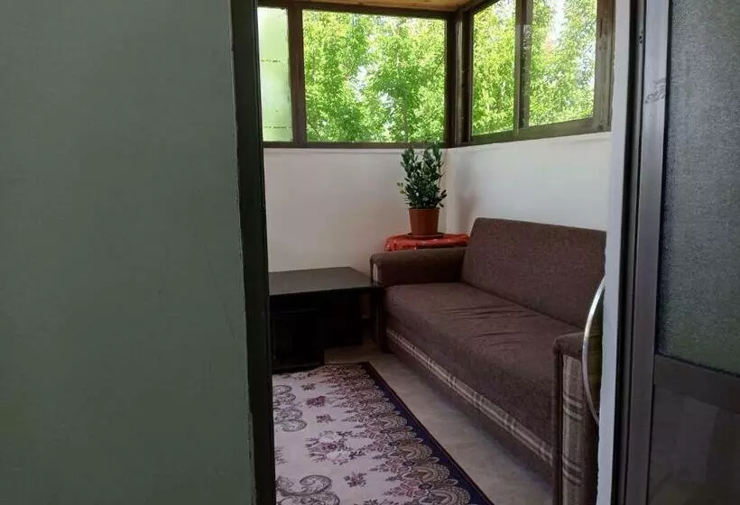 Family Studio