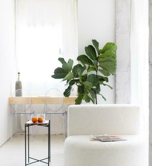 Home2book Design Diamond Studio Santa Cruz