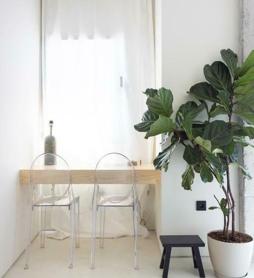 Home2book Design Diamond Studio Santa Cruz