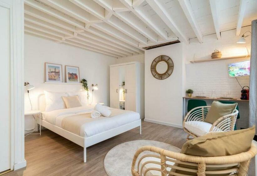 Lille Grand Place Central Studio