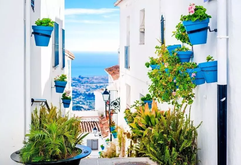 Puerta Del Mar Penthouse Beachfront Happy Rentals