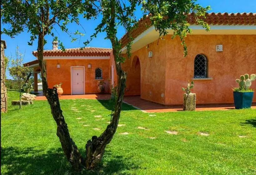 Villa Minerva Palau