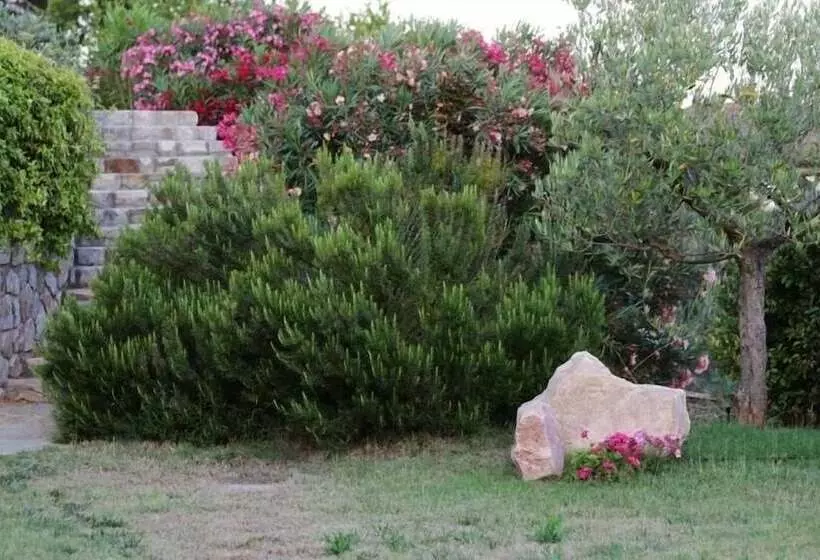 Ecoresort Casa Degli Ulivi