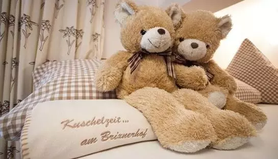 Bauernhof Brixnerhof