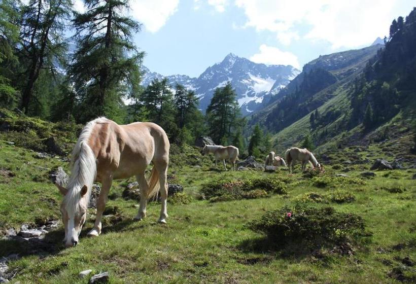 בית מלון כפרי Ferienhaus Sabine