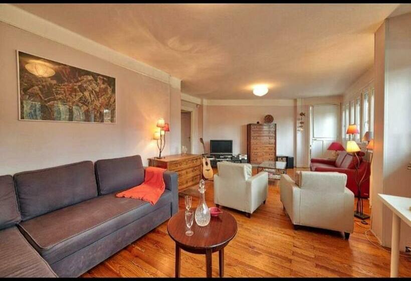 Toulouse Centre Large Apartment With Parking