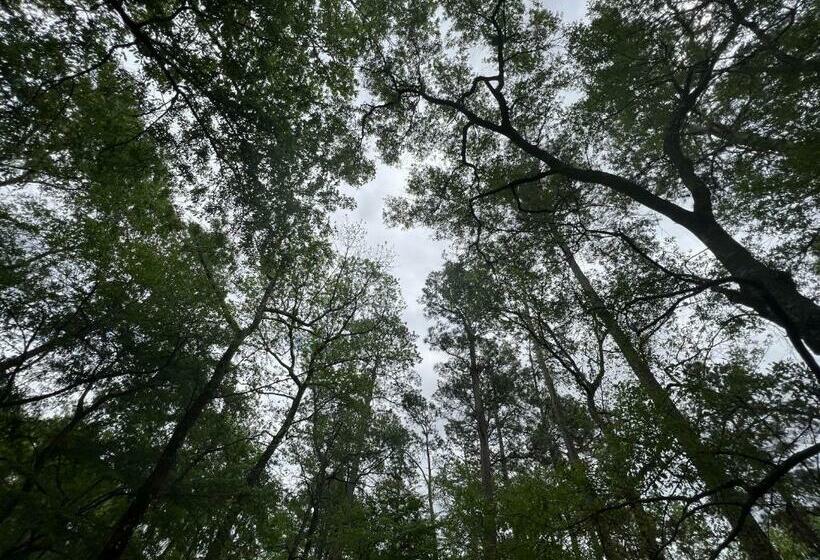 2 Bdrm Treehouse Hideout  Lake Conroe With Boat Ramp