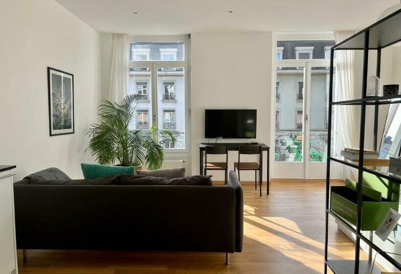 Luxury Apartment In Central Geneva