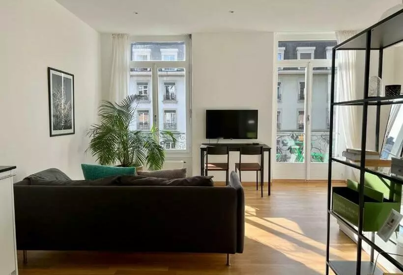 Luxury Apartment In Central Geneva