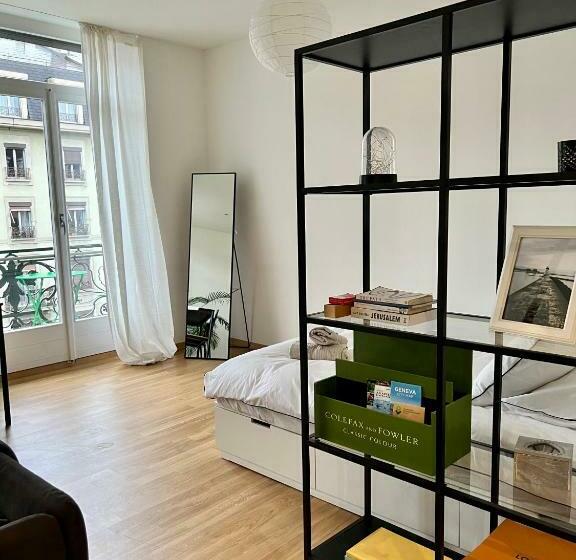 Luxury Apartment In Central Geneva