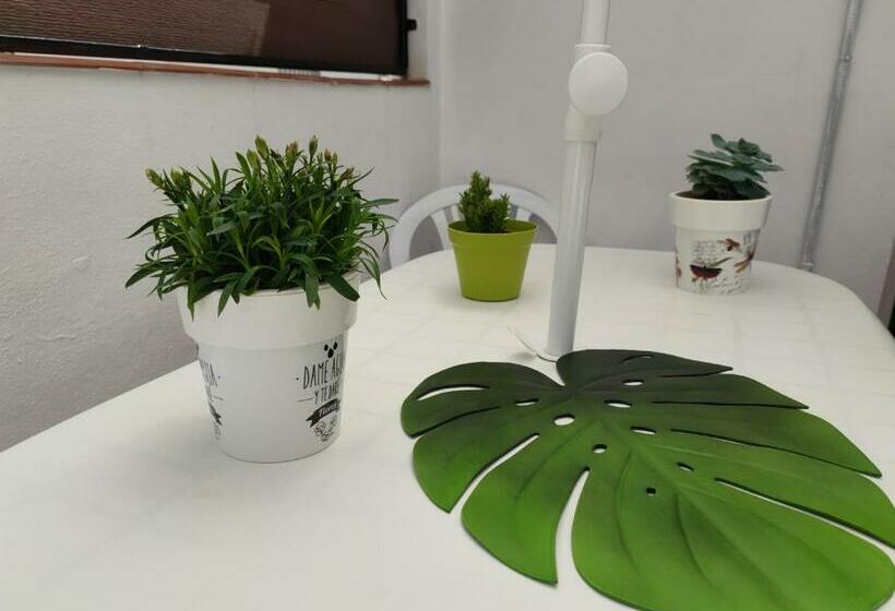 Encantadora Casa Con Patio