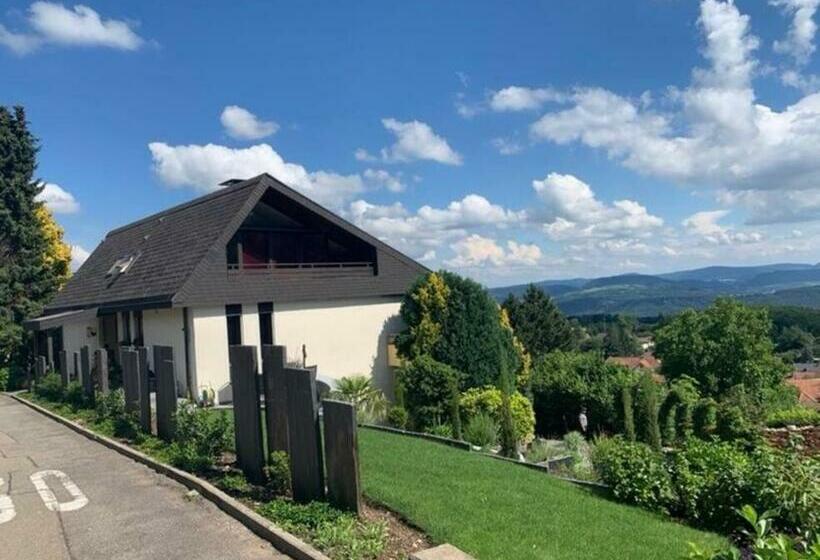 Exklusives Apartment In Bad Säckingen Für 2 Person