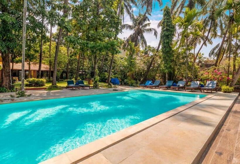 Casa Saipem With River View & Kitchen Access By Stayvista