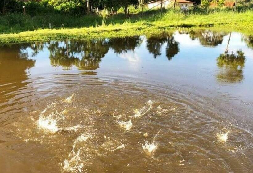 Sítio No Interior De Sp Para Curtir A Natureza