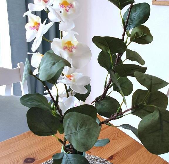 Sky & Sand Spo Nordsee By Nature I Boxspringbett, Terrasse, Zentral, Nah Am Deich