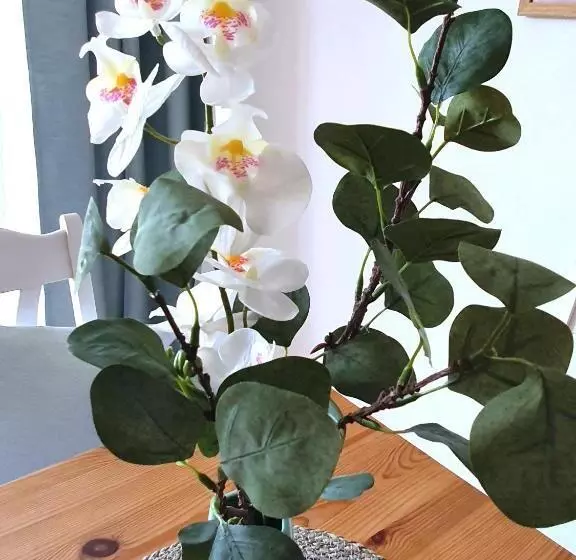 Sky & Sand Spo Nordsee By Nature I Boxspringbett, Terrasse, Zentral, Nah Am Deich