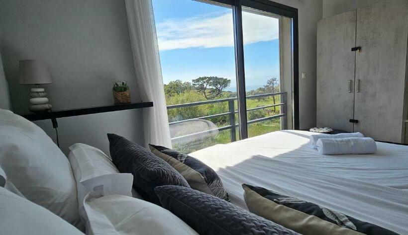 Grand & Beau Studio Climatisé Vue Sur Mer