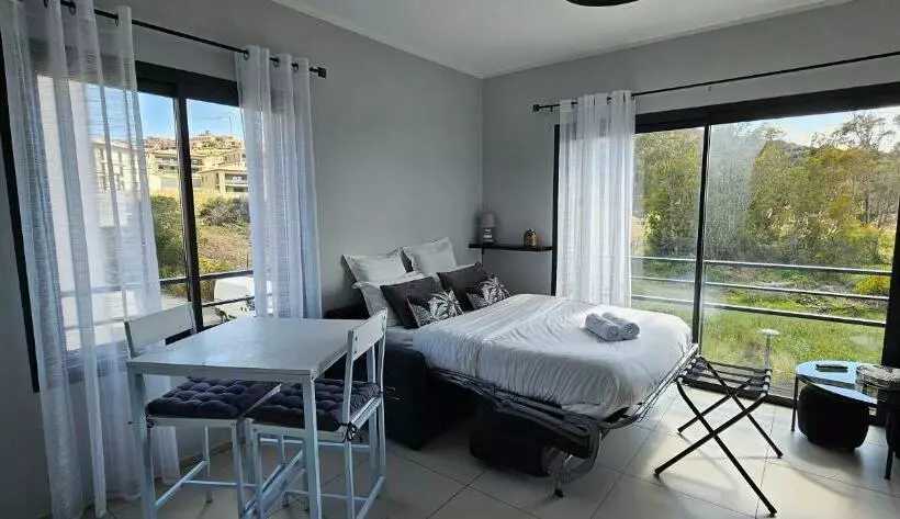 Grand & Beau Studio Climatisé Vue Sur Mer