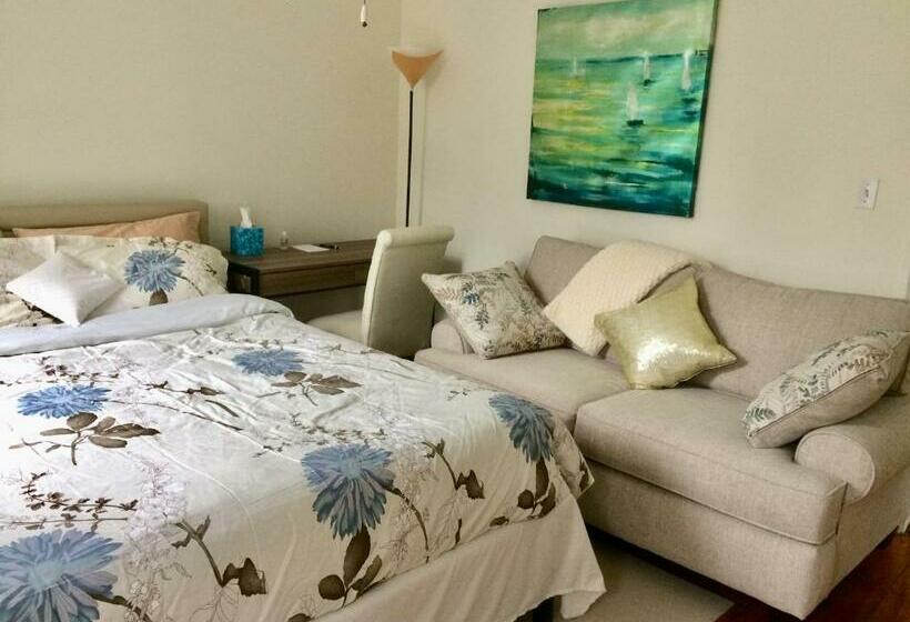 Shared Comfortable Apartment At Harvard Mit