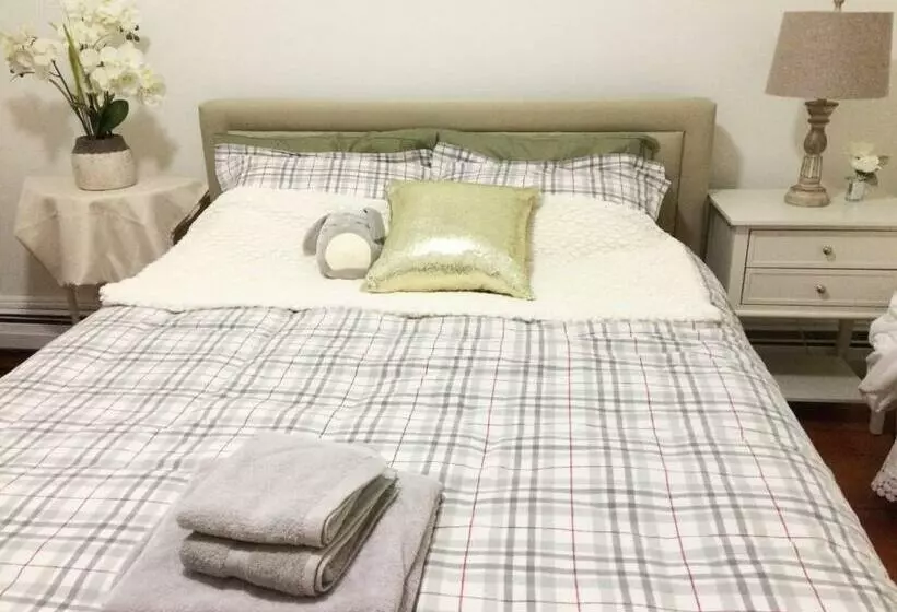Shared Comfortable Apartment At Harvard Mit