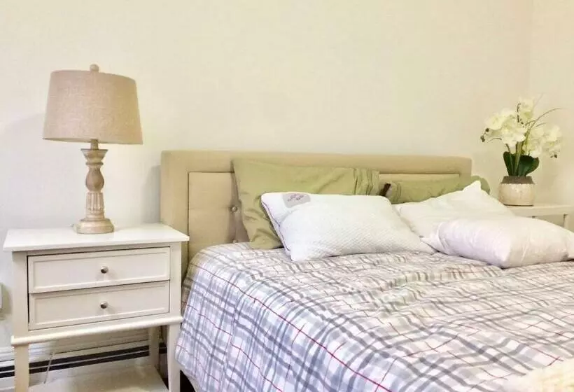 Shared Comfortable Apartment At Harvard Mit