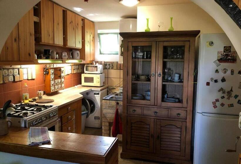 Szendergő Apartman Hajós Pincefalu