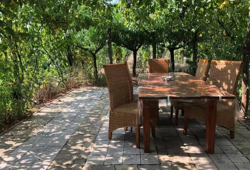 Szendergő   Apartman Hajós Pincefalu