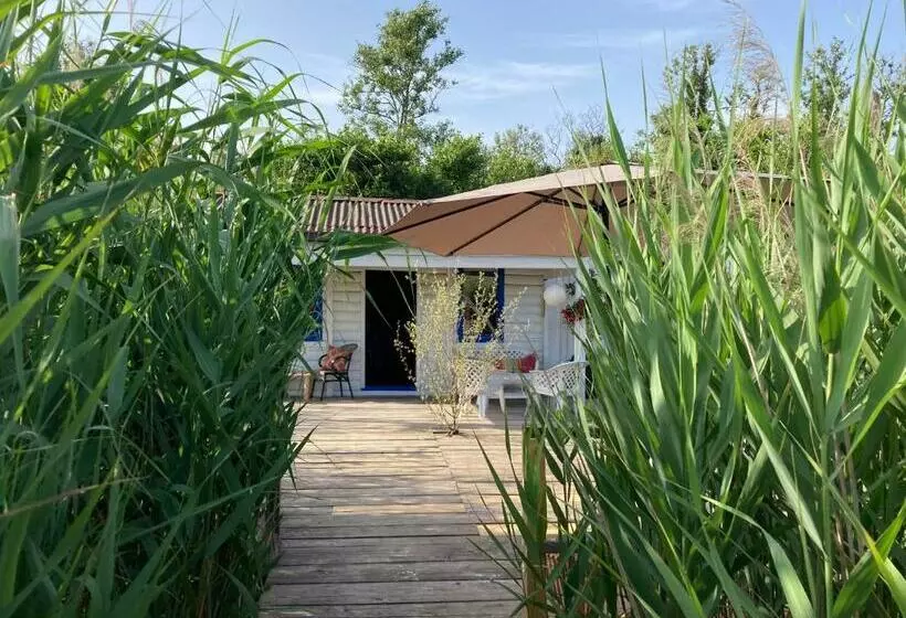 Lodge Roseaux Sauvages